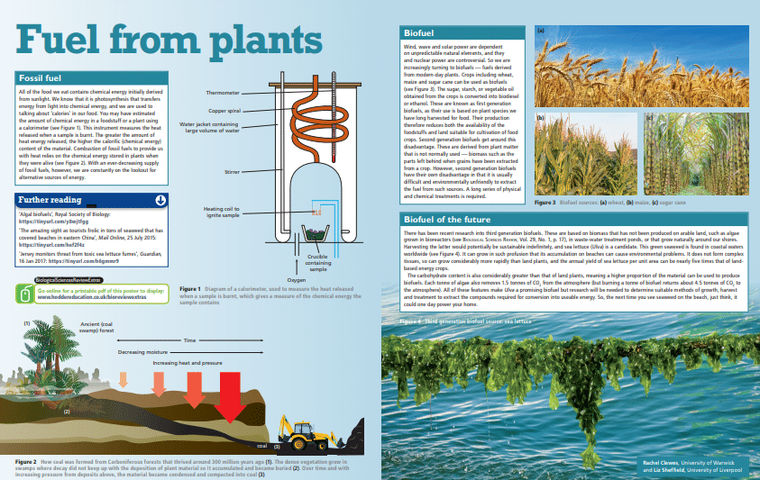 Biology Posters Poster Template
