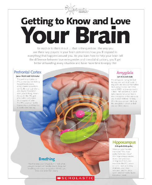 Medical Posters Poster Template Medical Posters Poster Template