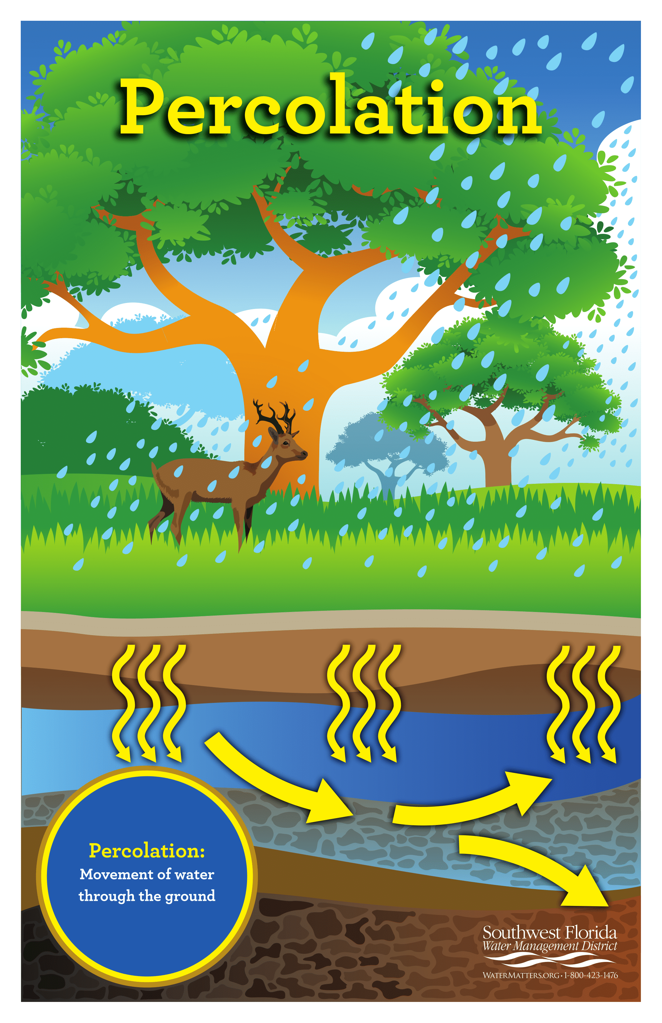 Biology Posters | Poster Template