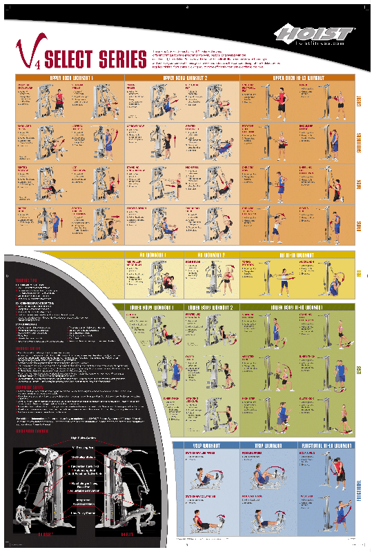 Gym Posters | Poster Template